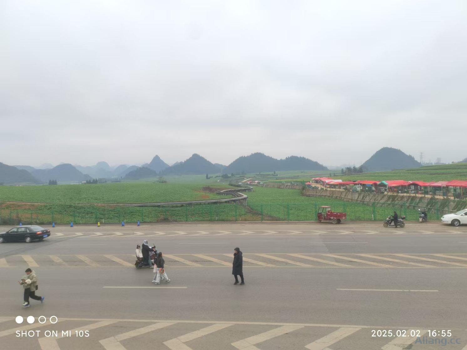 等不了菜花开，就提前来把菜花看吧！